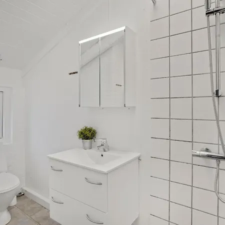 Optimisten Bjerregård