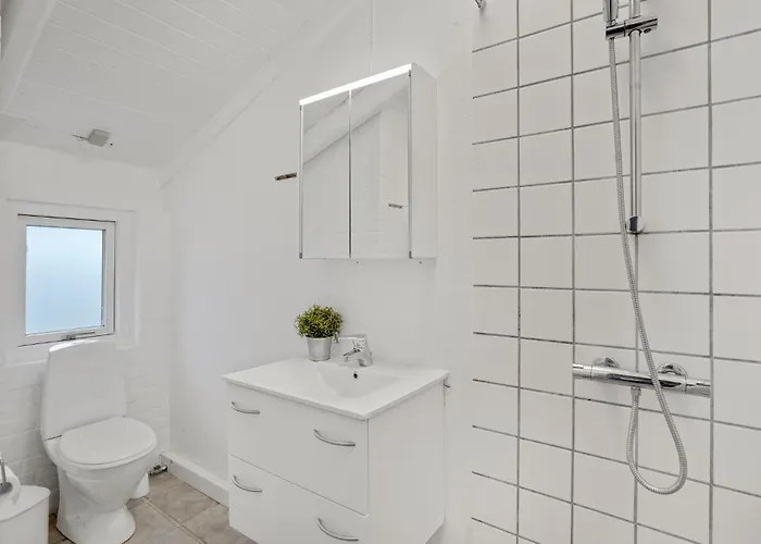 Optimisten Bjerregård